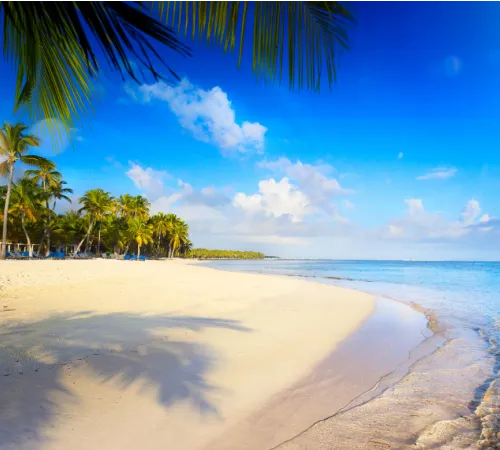 Fiji Island Escape with Tropical Vibes